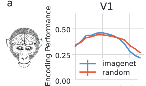 Random-weight CNN fMRI prediction figure